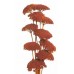 YARROW Orange 22" -